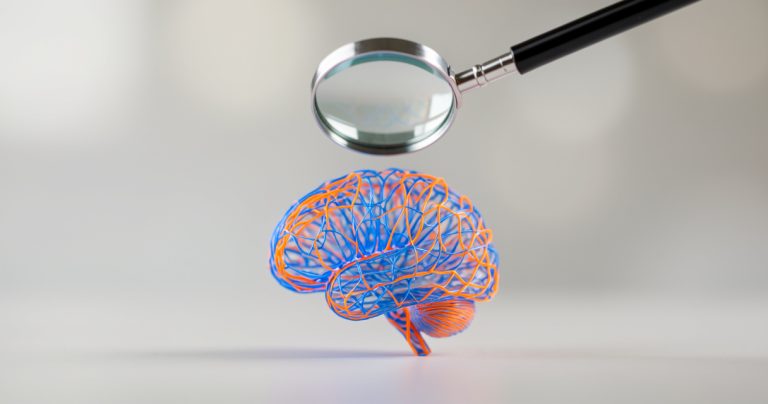 Neuromythes en formation : ce que votre cerveau ne fait pas