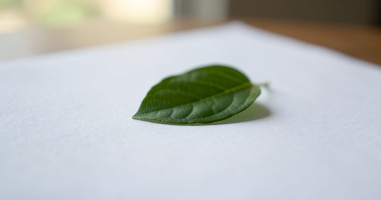 Éco-conception pédagogique : gestes simples pour réduire l'impact